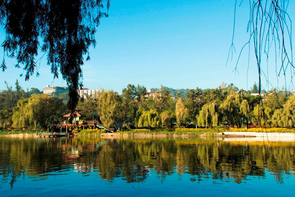 Venus Parkview Hotel Baguio City Eksteriør billede